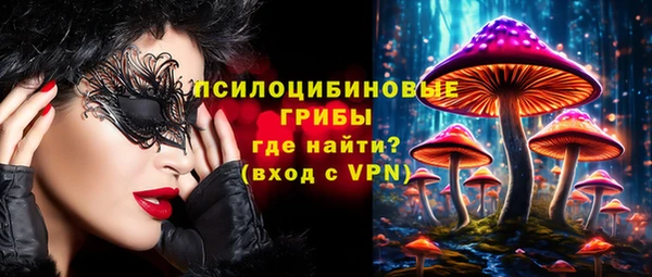 PSILOCYBIN Абаза
