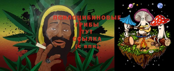 PSILOCYBIN Абаза