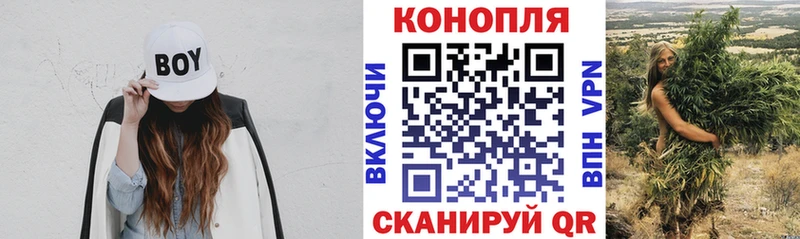 Каннабис Bruce Banner  Щёлково 
